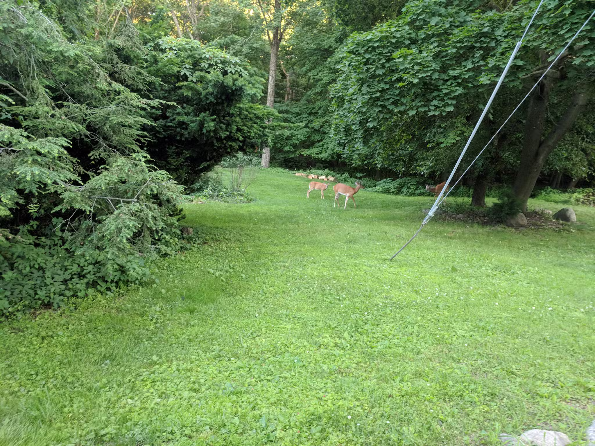 Ridgewood Muncipal Park - Ridgewood, NJ