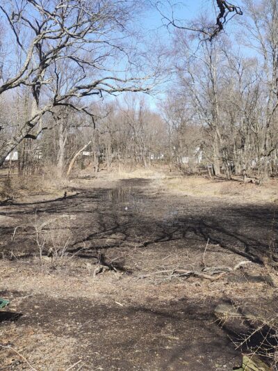 Twinney Pond Park - Ridgewood, NJ