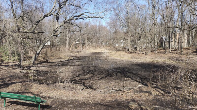 Twinney Pond Park - Ridgewood, NJ