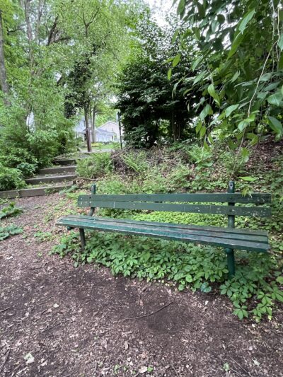 Twinney Pond Park - Ridgewood, NJ