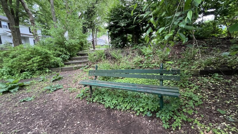 Twinney Pond Park - Ridgewood, NJ