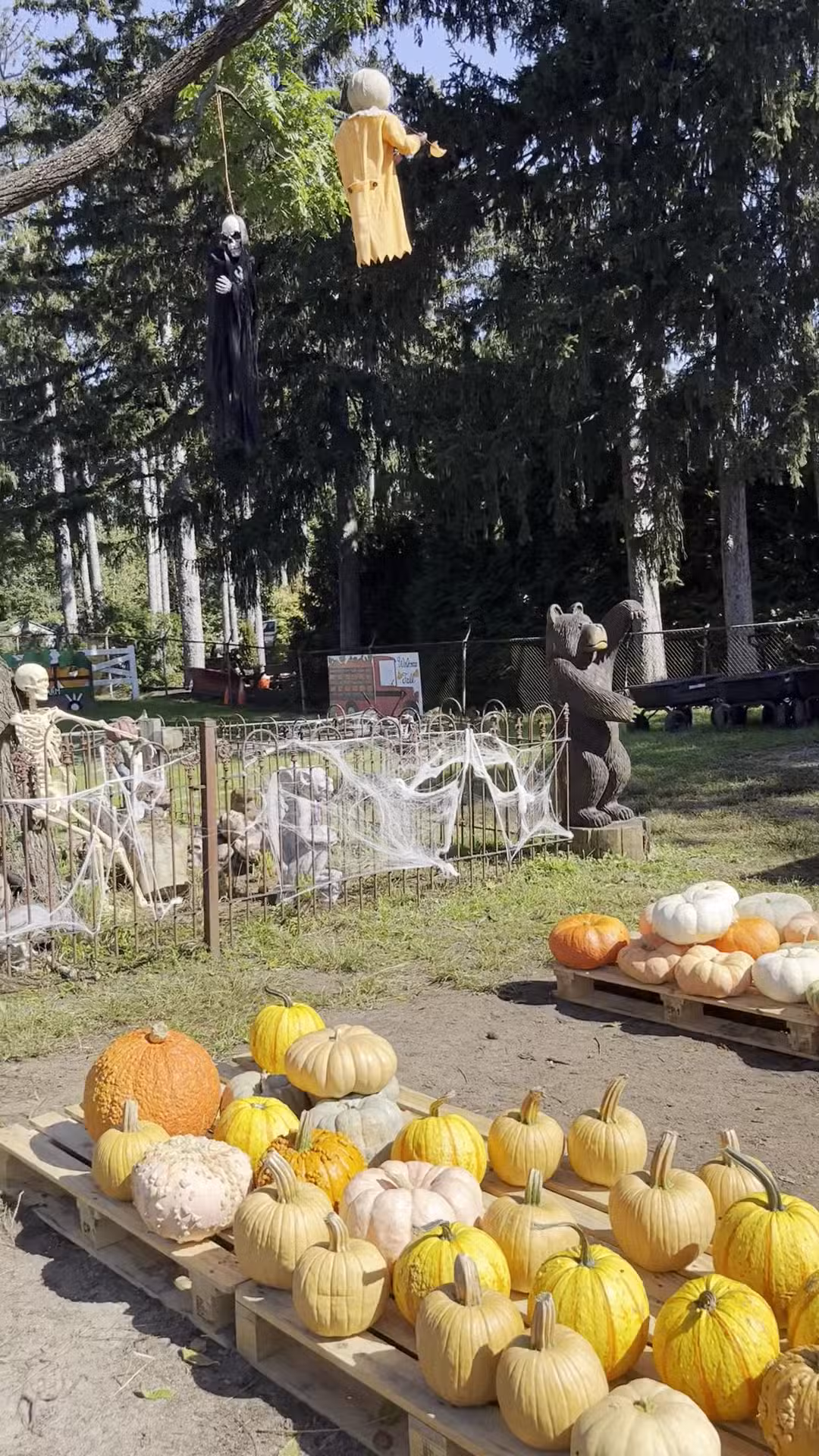 Ward's Farm Pumpkin Patch - Ridgewood, NJ