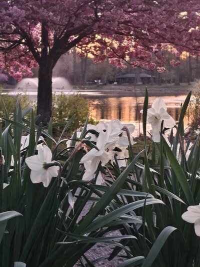 Wild Duck Pond - Ridgewood, NJ