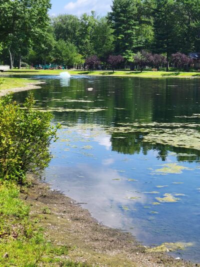 Wild Duck Pond - Ridgewood, NJ