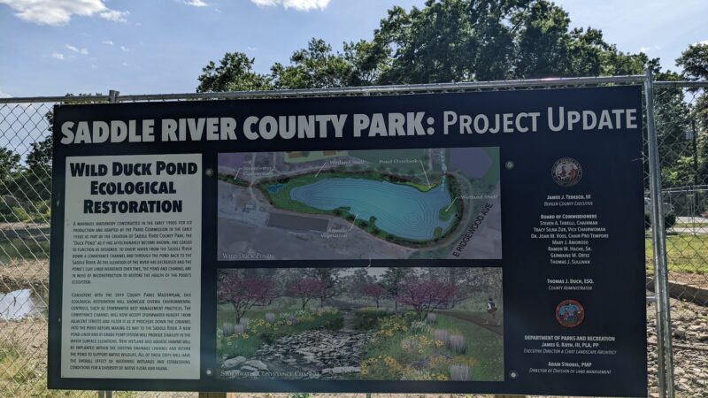 Wild Duck Pond - Ridgewood, NJ