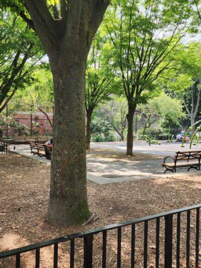 Evergreen Park - Ridgewood, NY