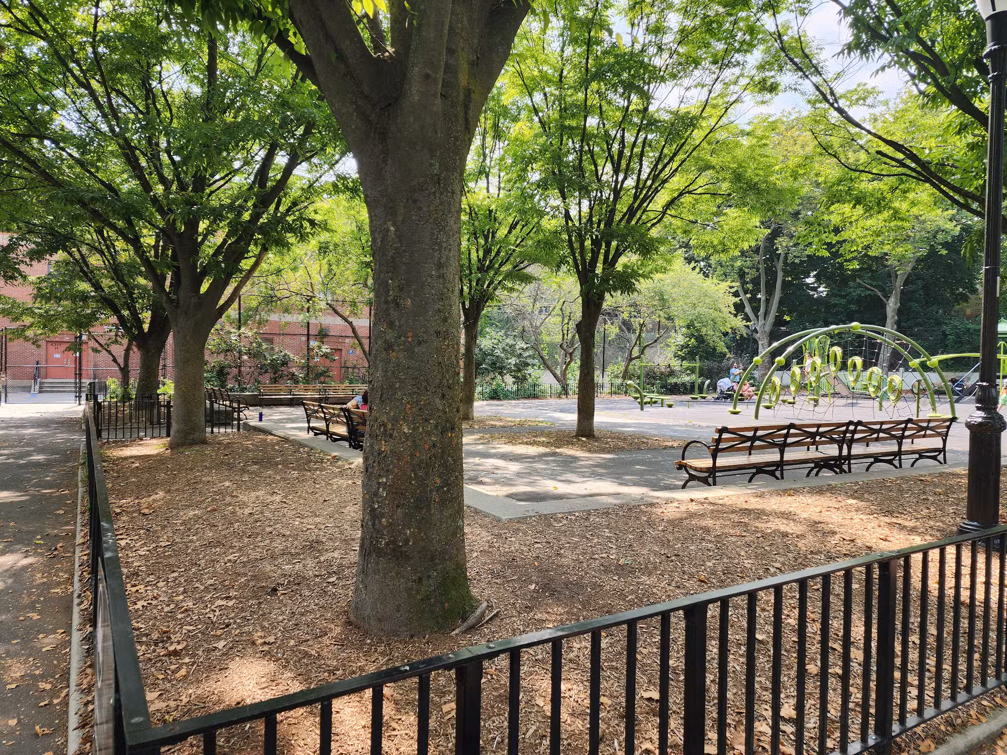 Evergreen Park - Ridgewood, NY