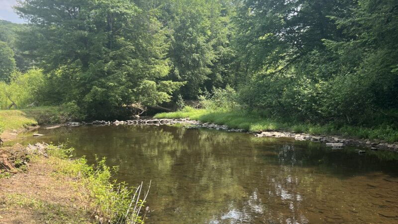 Sandy Beach Park - Ridgway, PA