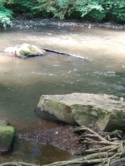 Sandy Beach Park - Ridgway, PA