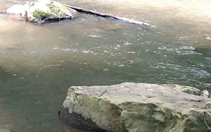 Sandy Beach Park - Ridgway, PA
