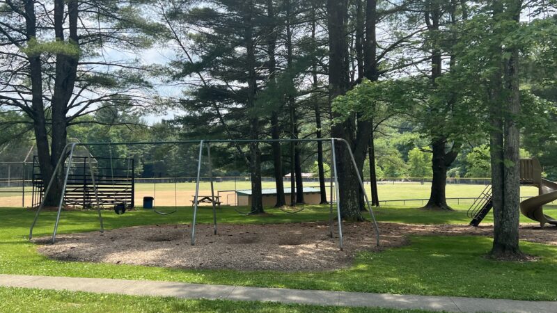 Sandy Beach Park - Ridgway, PA