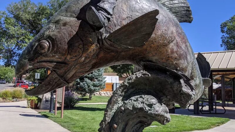 Centennial Park - Rifle, CO