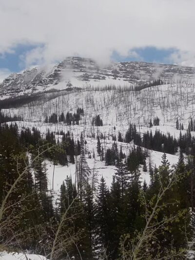 Metro Park - Rifle, CO