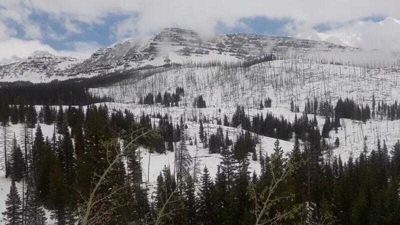 Metro Park - Rifle, CO