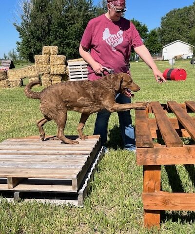 Idaho Barks and Recreation - Rigby, ID