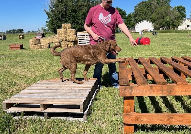 Idaho Barks and Recreation - Rigby, ID