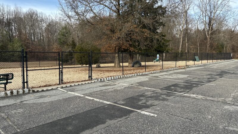 Ringwood Dog Park - Ringwood, NJ