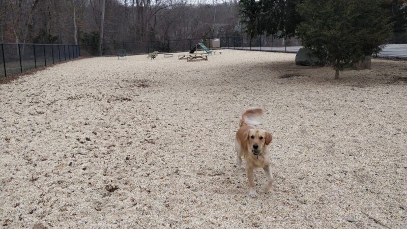 Ringwood Dog Park - Ringwood, NJ