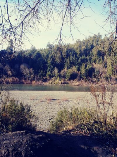 Fireman's Park - Rio Dell, CA