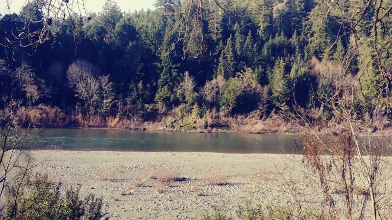 Fireman's Park - Rio Dell, CA