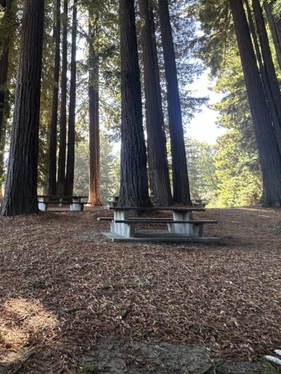 Fireman's Park - Rio Dell, CA