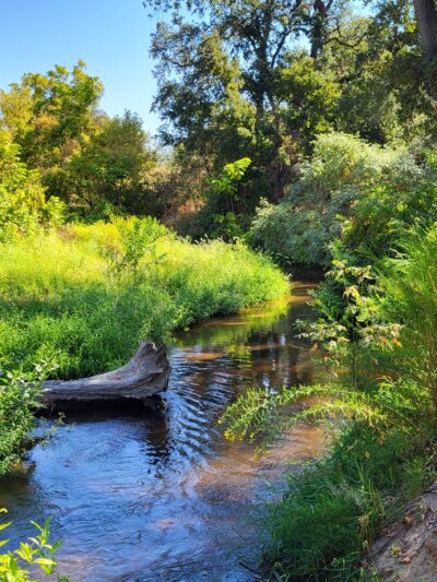 Dry Creek Trail - Rio Linda, CA