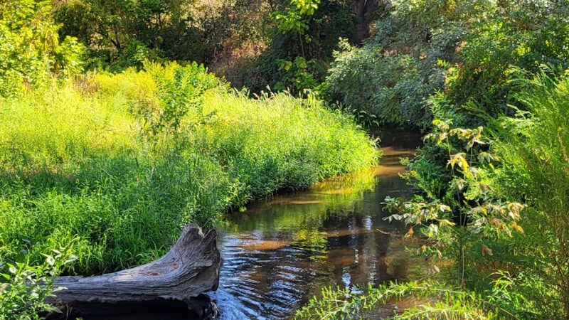 Dry Creek Trail - Rio Linda, CA