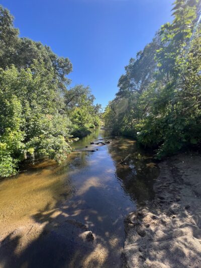 Dry Creek Trail - Rio Linda, CA