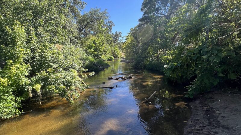 Dry Creek Trail - Rio Linda, CA