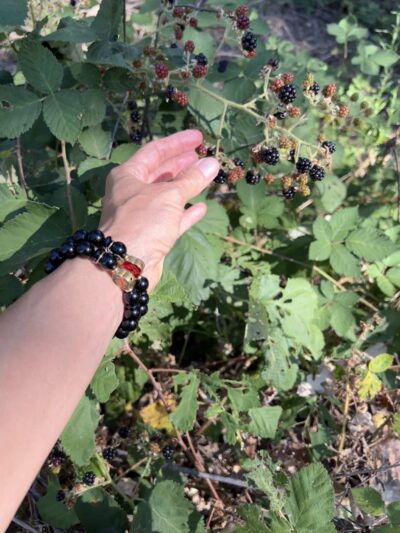 Dry Creek Trail - Rio Linda, CA