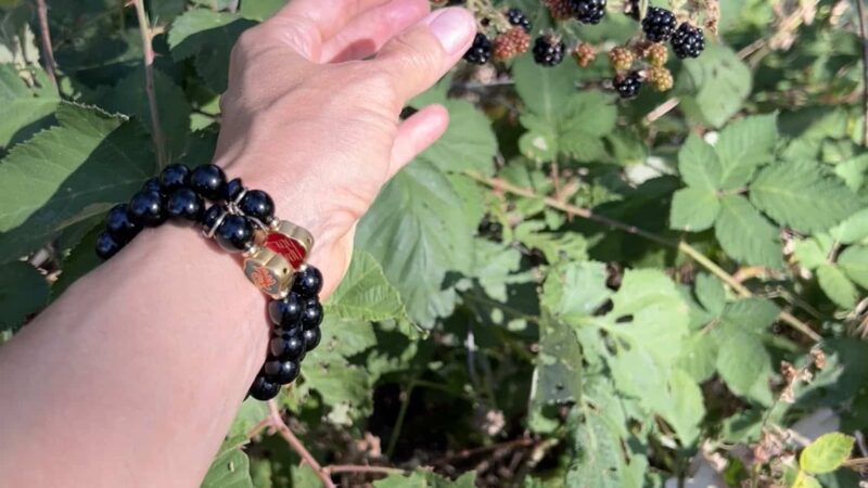 Dry Creek Trail - Rio Linda, CA