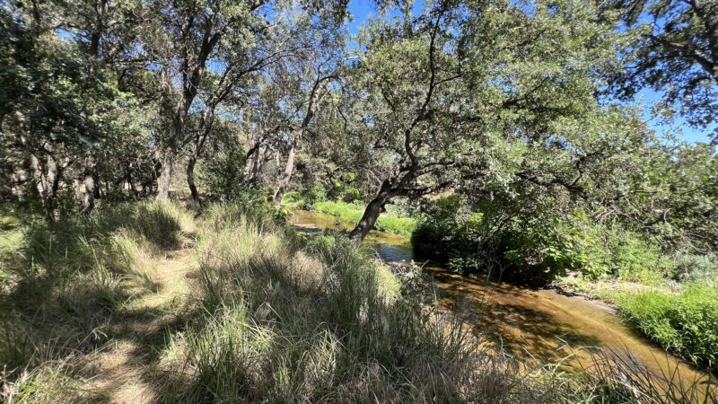 Dry Creek Trail - Rio Linda, CA