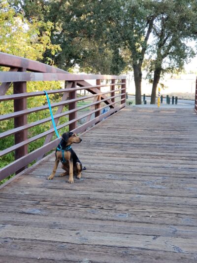 Linda Creek Park - Rio Linda, CA
