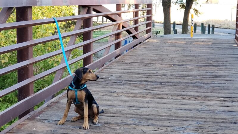 Linda Creek Park - Rio Linda, CA