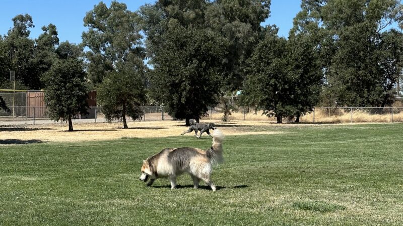 Westside Park - Rio Linda, CA