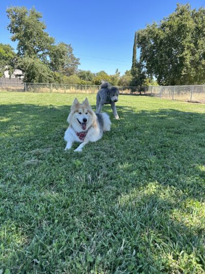 Westside Park - Rio Linda, CA