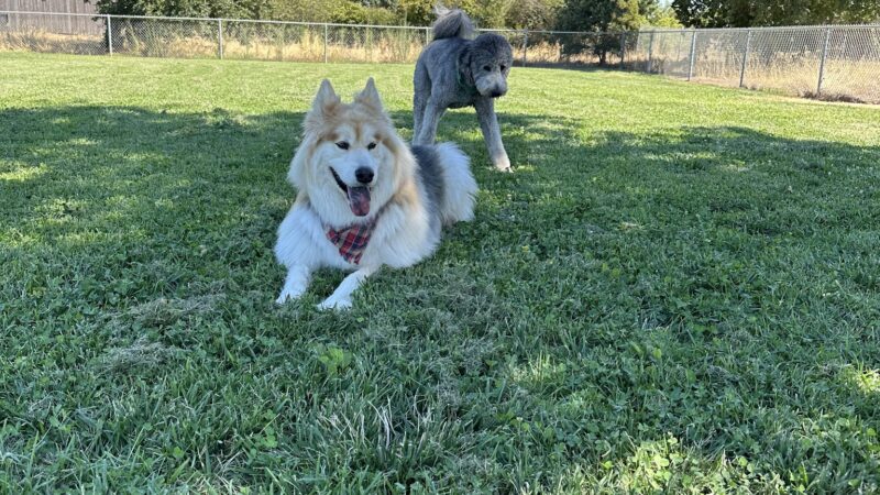 Westside Park - Rio Linda, CA