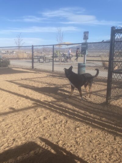 Dog Park - Rio Rancho, NM