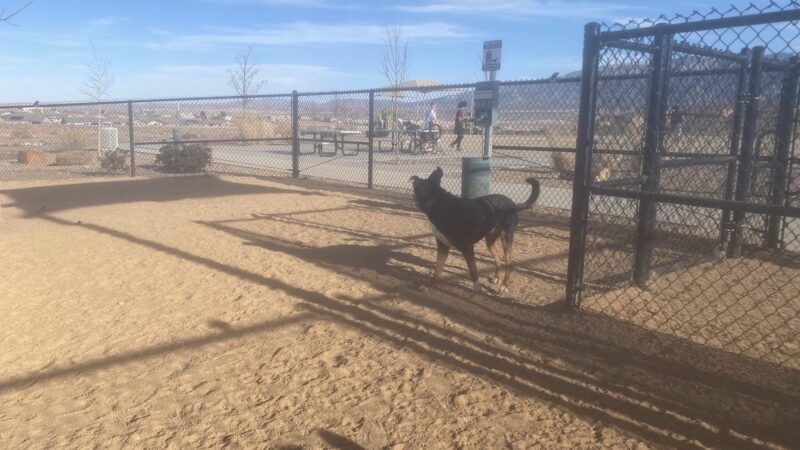 Dog Park - Rio Rancho, NM