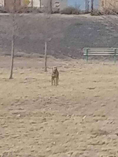 Gateway Park - Rio Rancho, NM