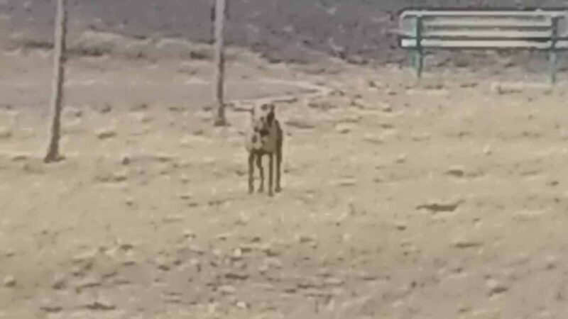 Gateway Park - Rio Rancho, NM