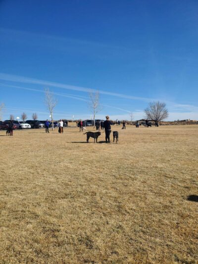 High Range Dog Park - Rio Rancho, NM