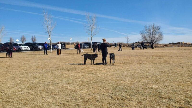 High Range Dog Park - Rio Rancho, NM
