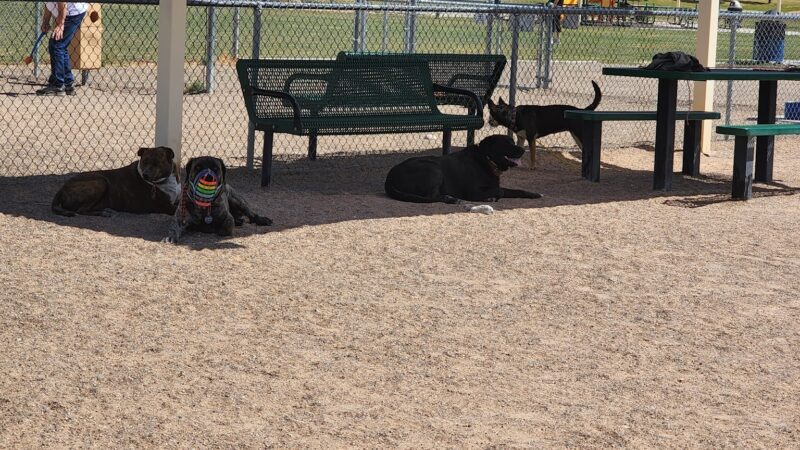 High Range Dog Park - Rio Rancho, NM