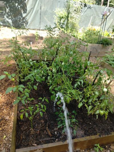 Flat Shoals Park - Riverdale, GA