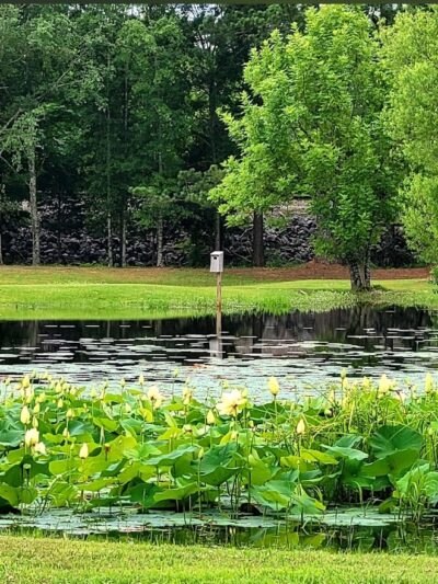 Riverside Park - Riverside, AL