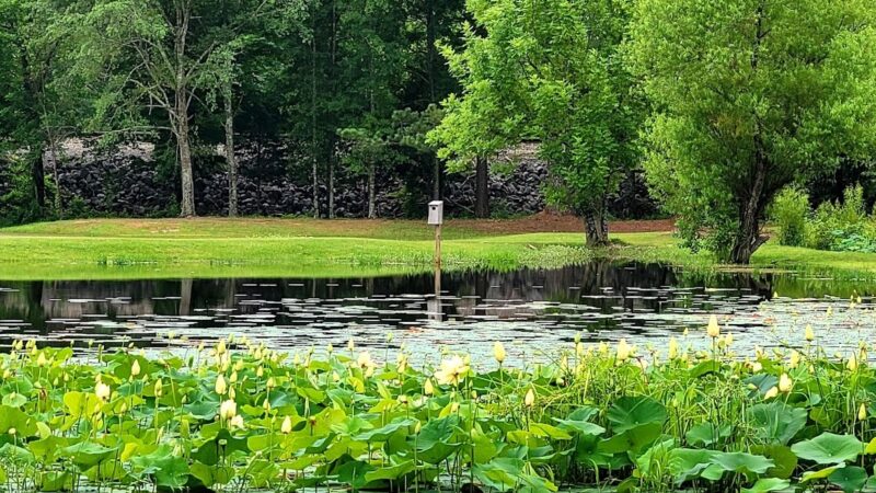 Riverside Park - Riverside, AL