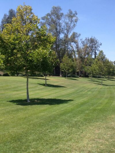 Andulka Park - Riverside, CA