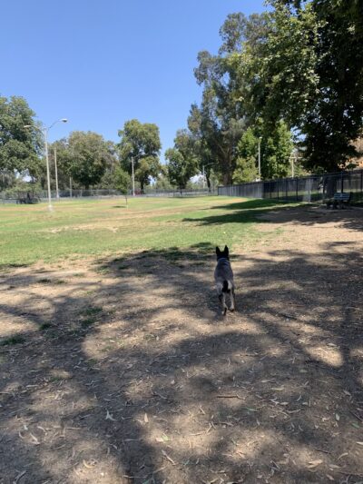 Carlson Park - Riverside, CA