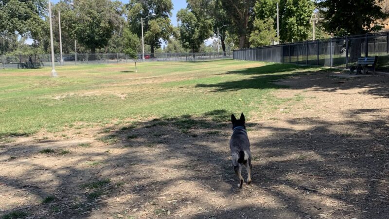 Carlson Park - Riverside, CA